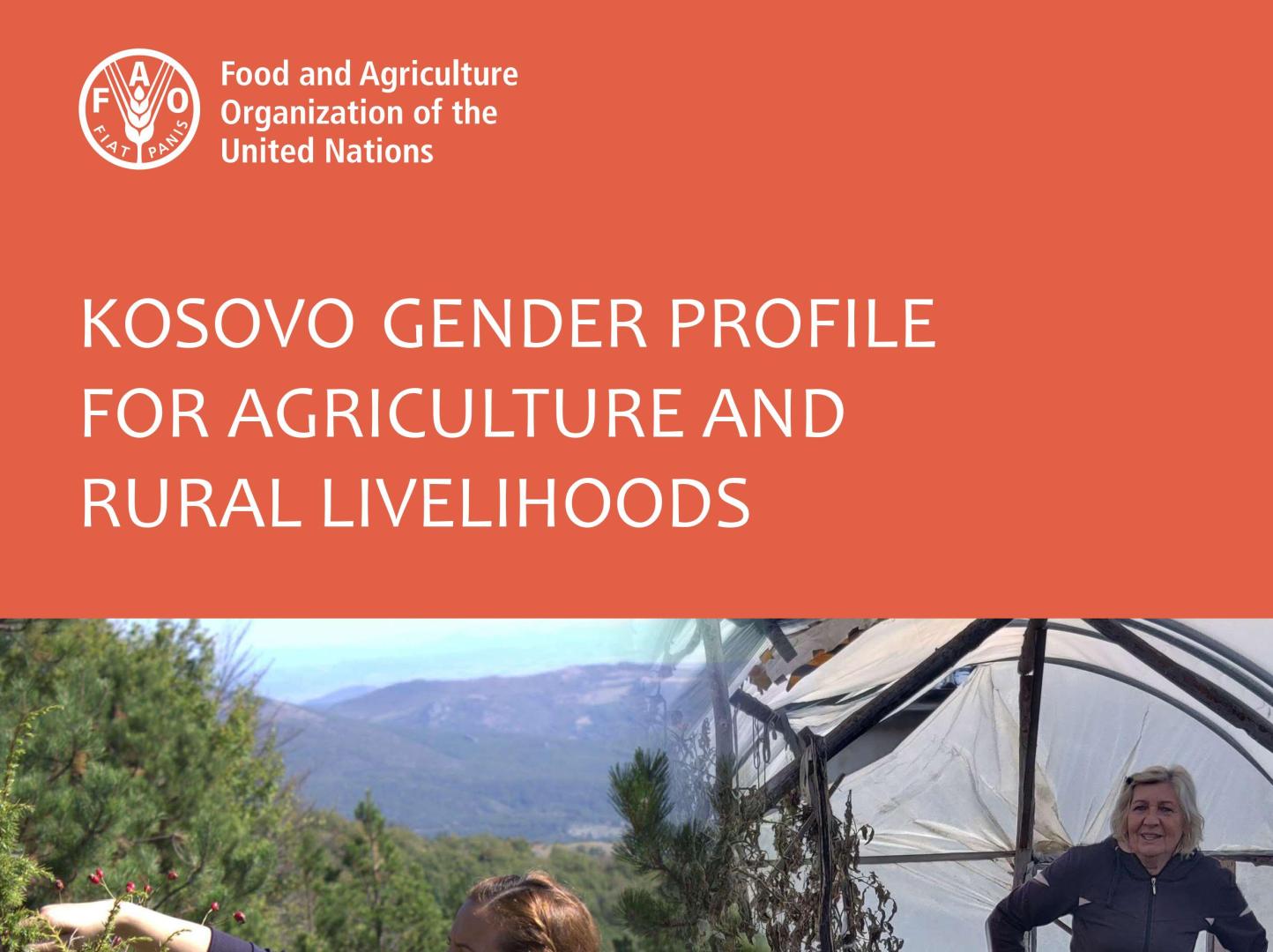 KosGenderAgriProfile