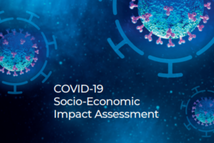 COVID-19 Socio-Economic Impact Assessment | United Nations In Serbia